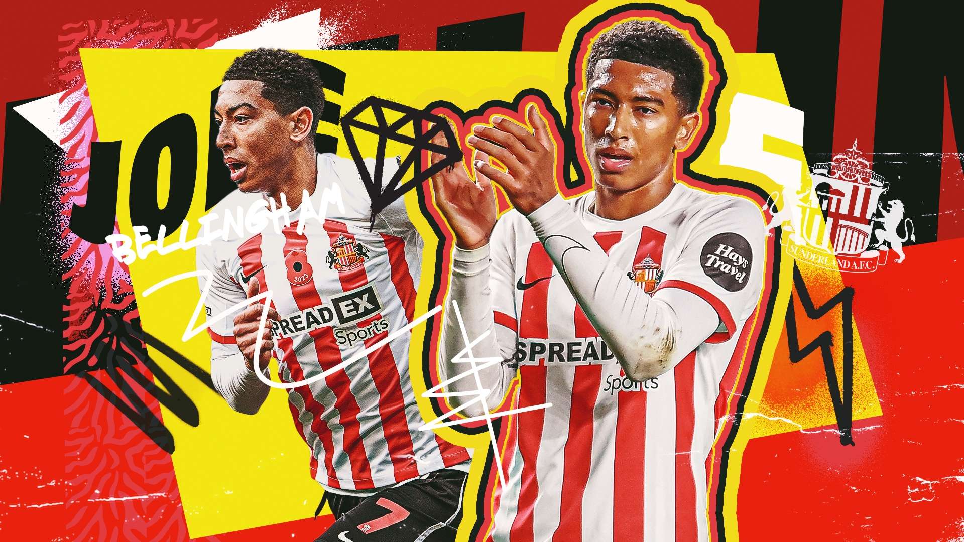 他常使用 他常使用